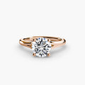 Completed Ring (United Kingdom Size E)