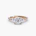 Completed Ring (United Kingdom Size E)